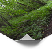 森の中の静かな散歩 ポスター (角)