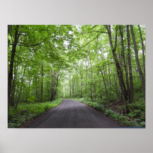 森の中の静かな散歩 ポスター (正面)