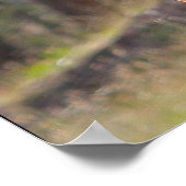 森の中の馬 ポスター (角)