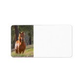 森の中の馬 ラベル (正面)