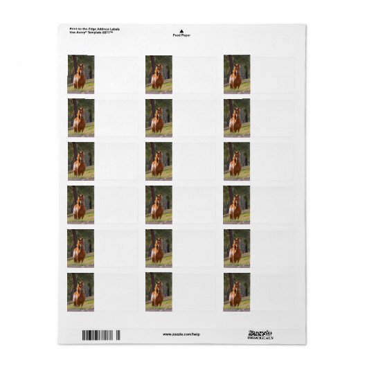 森の中の馬 ラベル (フルシート)