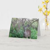 森の中の鹿がすぐに元気になるカード カード (黄色い花)