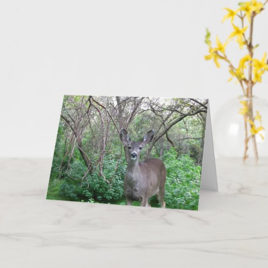 森の中の鹿がすぐに元気になるカード カード (黄色い花)