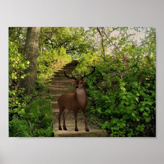 森の中の鹿。 ポスター (正面)