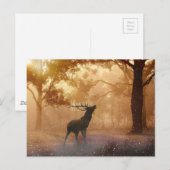 森の中の鹿 ポストカード (正面/裏面)