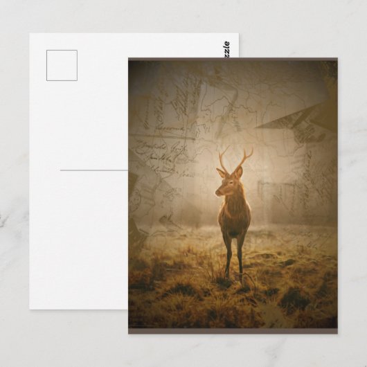 森の中の鹿 ポストカード (正面/裏面)