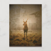 森の中の鹿 ポストカード (正面)