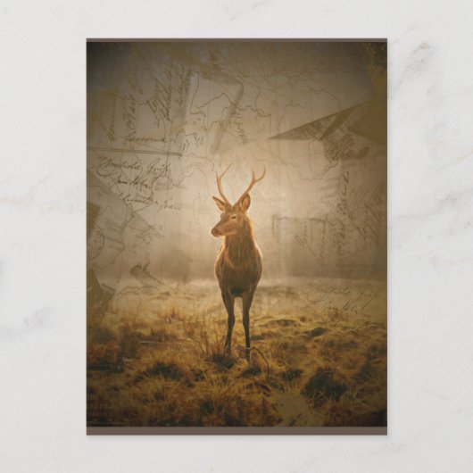 森の中の鹿 ポストカード (正面)