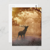 森の中の鹿 ポストカード (正面/裏面)
