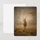 森の中の鹿 招待状 (正面/裏面)