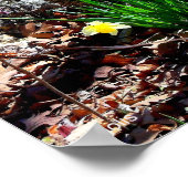 森の中の黄色い花の水仙の写真ポスター ポスター (角)