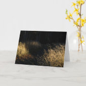 森の中の黄金の草が生い茂る小道 太陽の光の下 カード (黄色い花)