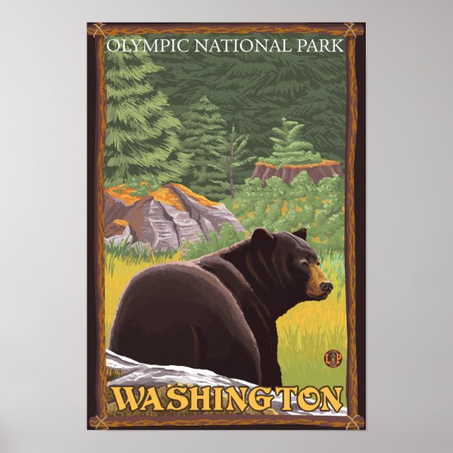 森の中の黒いクマ – オリンピック・ナットル公園(WA) ポスター (正面)