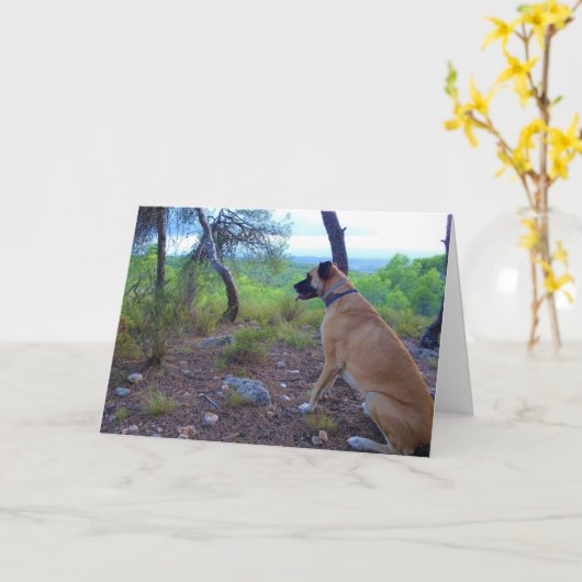 森の中の黒口狼犬 カード (黄色い花)