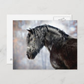 森の中の黒馬 ポストカード (正面/裏面)