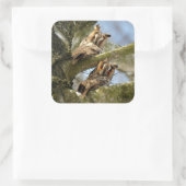 森の中の2羽のフクロウ、鳥、野生動物のスクエアスティー スクエアシール (バッグ)