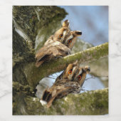 森の中の2羽のフクロウ、鳥、野生動物 ワインラベル (シングルラベル)