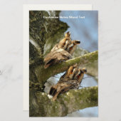 森の中の2羽のフクロウ、鳥、野生動物 便箋 (正面/裏面)