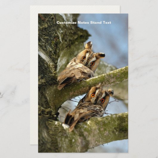 森の中の2羽のフクロウ、鳥、野生動物 便箋 (正面/裏面)
