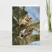 森の中の2羽のフクロウ、鳥、野生生物アクリルPri カード (正面)