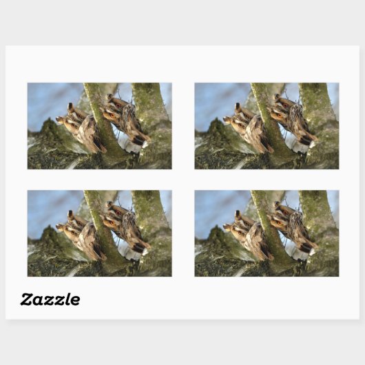 森の中の2羽のフクロウ、鳥、野生生物 長方形シール (シート)