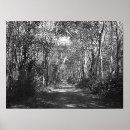 「森の中へ」 ポスター