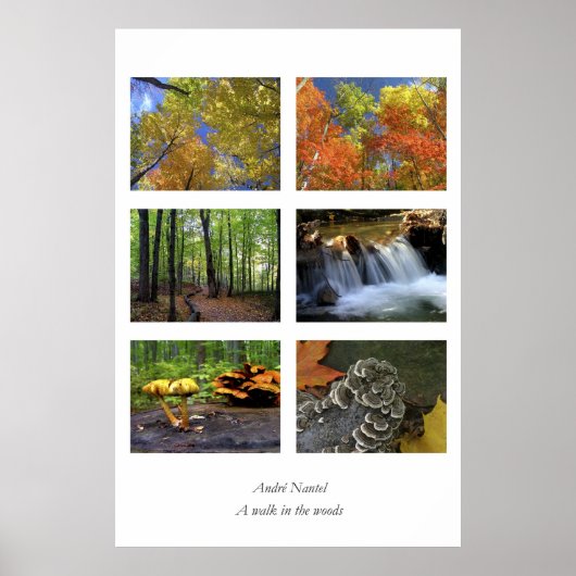 森の中を散歩する、ポスター ポスター (正面)