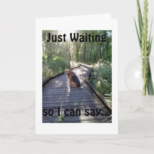 森の中を散歩中の犬は、ハッピーバースデー カード (正面)