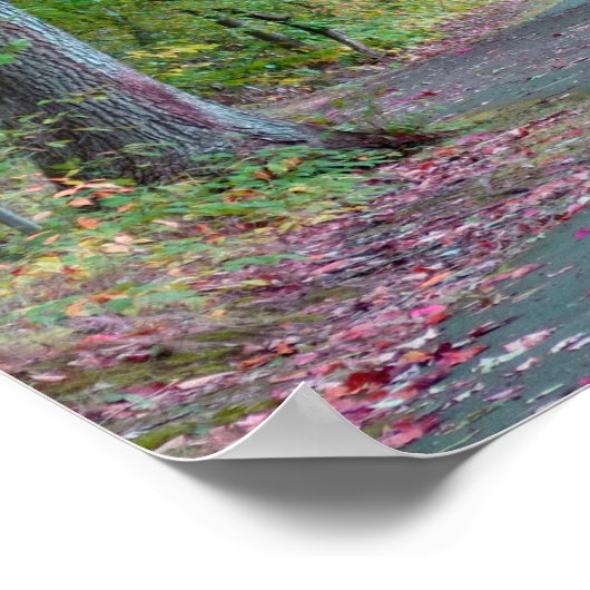 森の中を歩くオリジナル写真アートポスター ポスター (角)