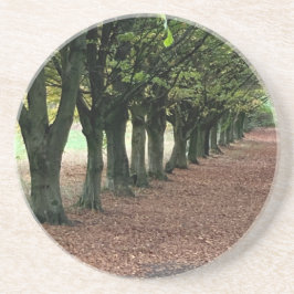 森の中を歩く コースター