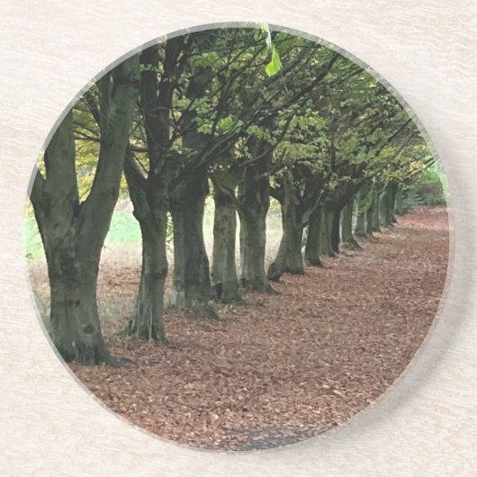 森の中を歩く コースター (正面)