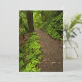 森の中を歩く サンキューカード (スタンド正面)