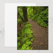 森の中を歩く サンキューカード (正面/裏面)