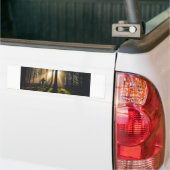 森の中を歩く バンパーステッカー (トラック上)