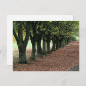 森の中を歩く ポストカード (正面/裏面)