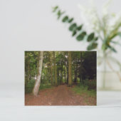 森の中を歩く。 ポストカード (スタンド正面)