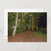 森の中を歩く。 ポストカード (正面/裏面)