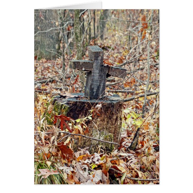 森の中を渡る (正面)