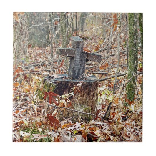 森の中を渡る タイル (正面)