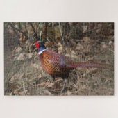 森の中を移動するキジ ジグソーパズル (横)