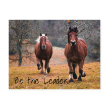 森の中を競走するワイルドウマ