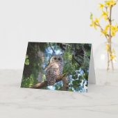森の中を見つめる野生のフクロウ カード (黄色い花)