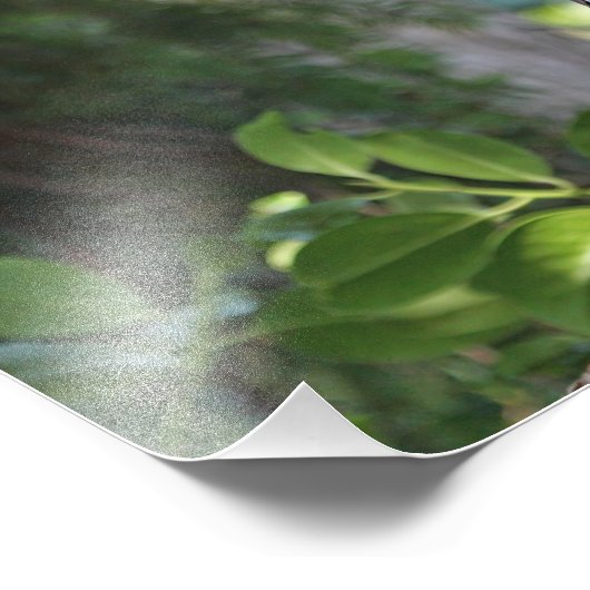 森の中を見つめる野生のフクロウ フォトプリント (角)