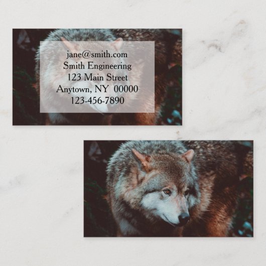 森の中を見ているグレー・ウルフ 名刺 (正面/裏面)