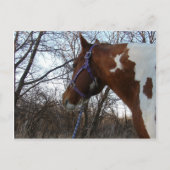 『森の中を見ろ』 ポストカード (正面)