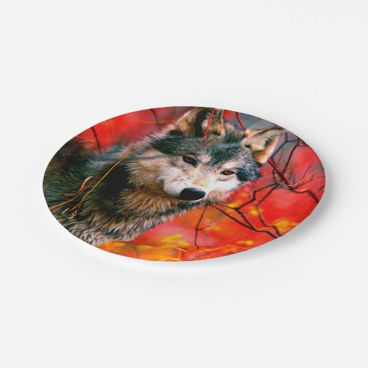 森の中を覗葉き込む狼 ペーパープレート (アングル)