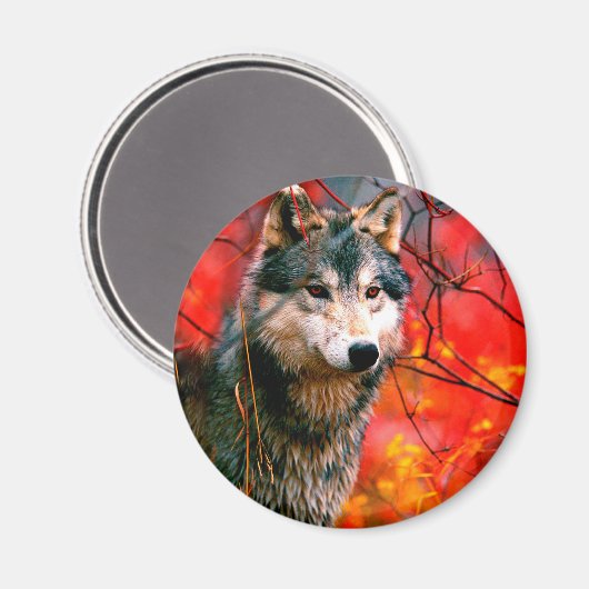 森の中を覗葉き込む狼 マグネット (正面/裏面)