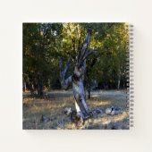 森の中….. ノートブック (裏面)