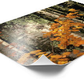 森の中 フォトプリント            (角)