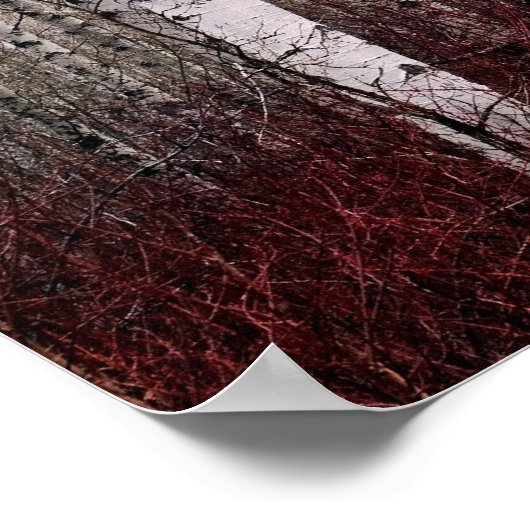 森の中。 ポスター (角)